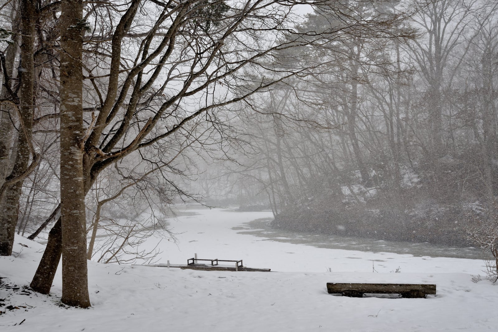 大沼國定公園的靜謐雪中湖畔｜2015/03 北海道