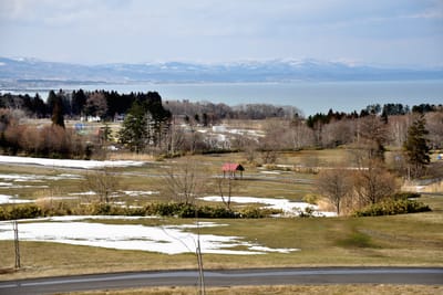 噴火灣全景公園的初春雪景