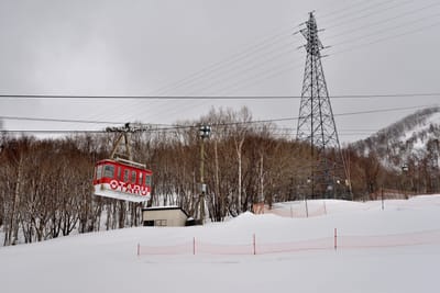天狗山纜車劃過雪白山林