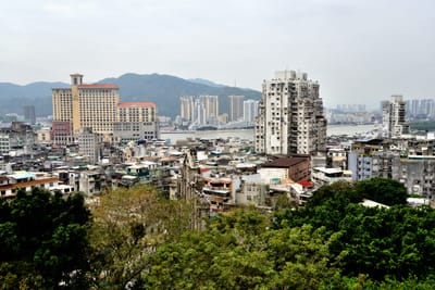 從博物館高處俯瞰新舊交織的城市天際線