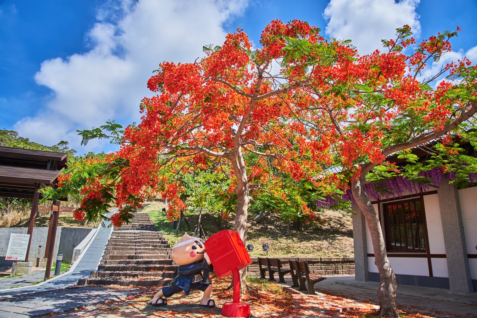 鳳凰木紅花綻放下的四重溪溫泉公園｜2015~2018 國境之南