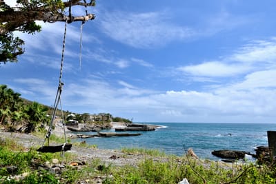 南仁漁港樹下木製鞦韆與蔚藍海景