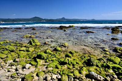 星砂灣清澈海域與翠綠礁石海岸景致