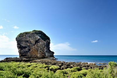湛藍晴空下的獨特珊瑚礁岩奇景
