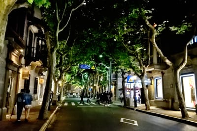 梧桐樹下的上海夜色街景｜2016/06 西藏