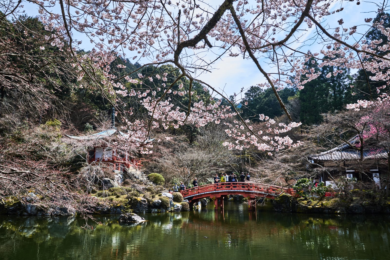 醍醐寺弁天池畔的朱紅拱橋與櫻花｜2017/04 京都賞櫻