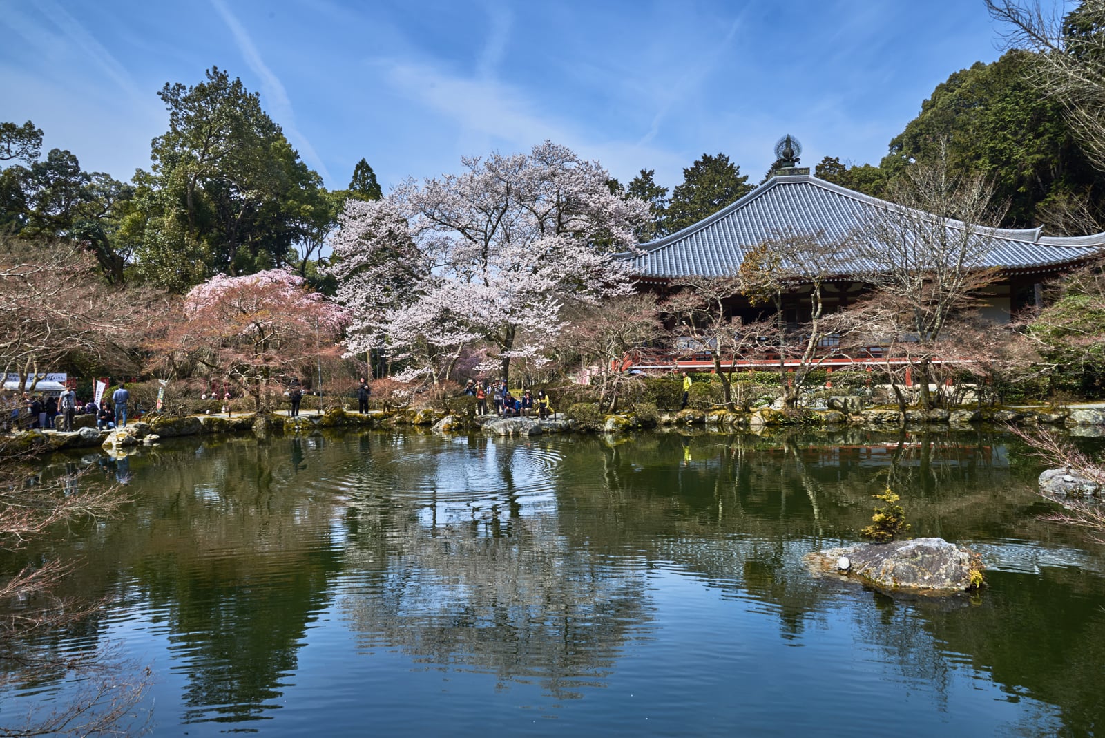 醍醐寺弁天堂前的春日倒影｜2017/04 京都賞櫻