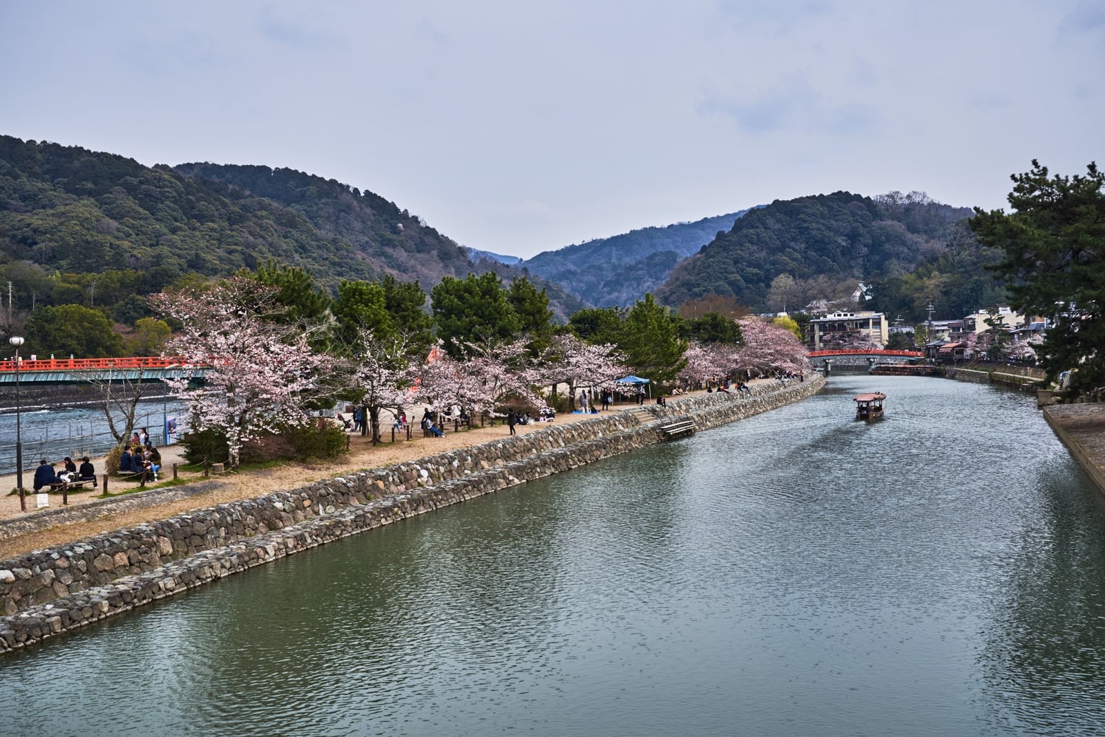 宇治川畔的粉嫩櫻花與悠閒遊船｜2017/04 京都賞櫻