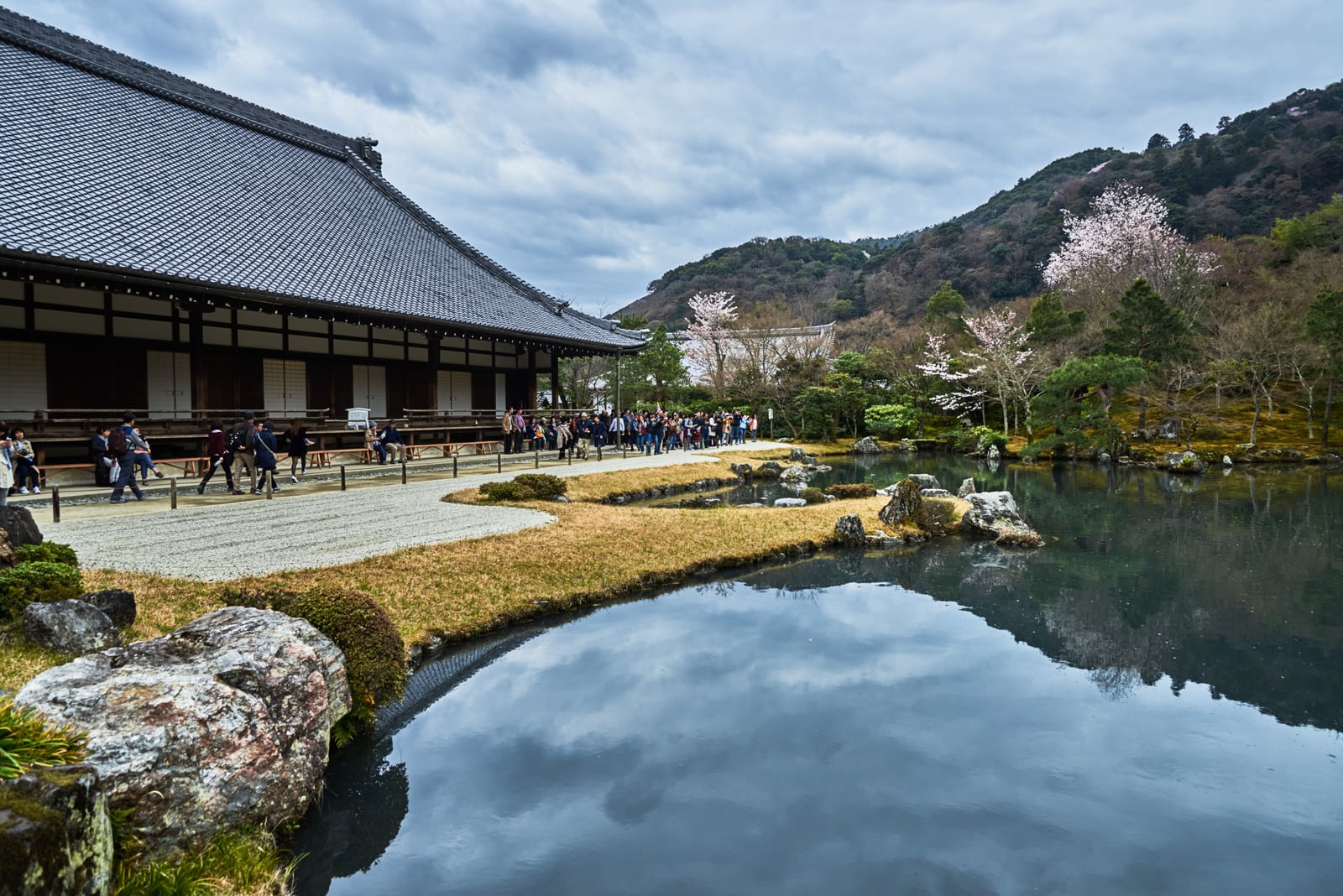 天龍寺曹源池畔的春日庭園景致｜2017/04 京都賞櫻
