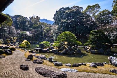 醍醐寺三寶院庭園的靜謐水景