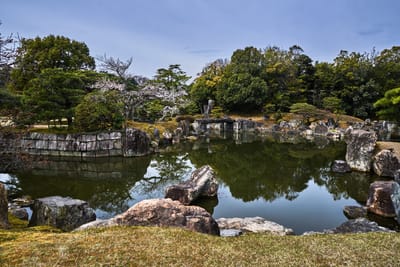 平安宮東限遺址的春日池畔景致