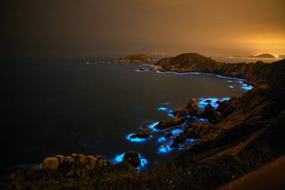 螺山自然步道海岸的夢幻藍眼淚