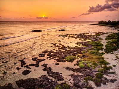 萬里桐海岸夕陽餘暉金黃海景