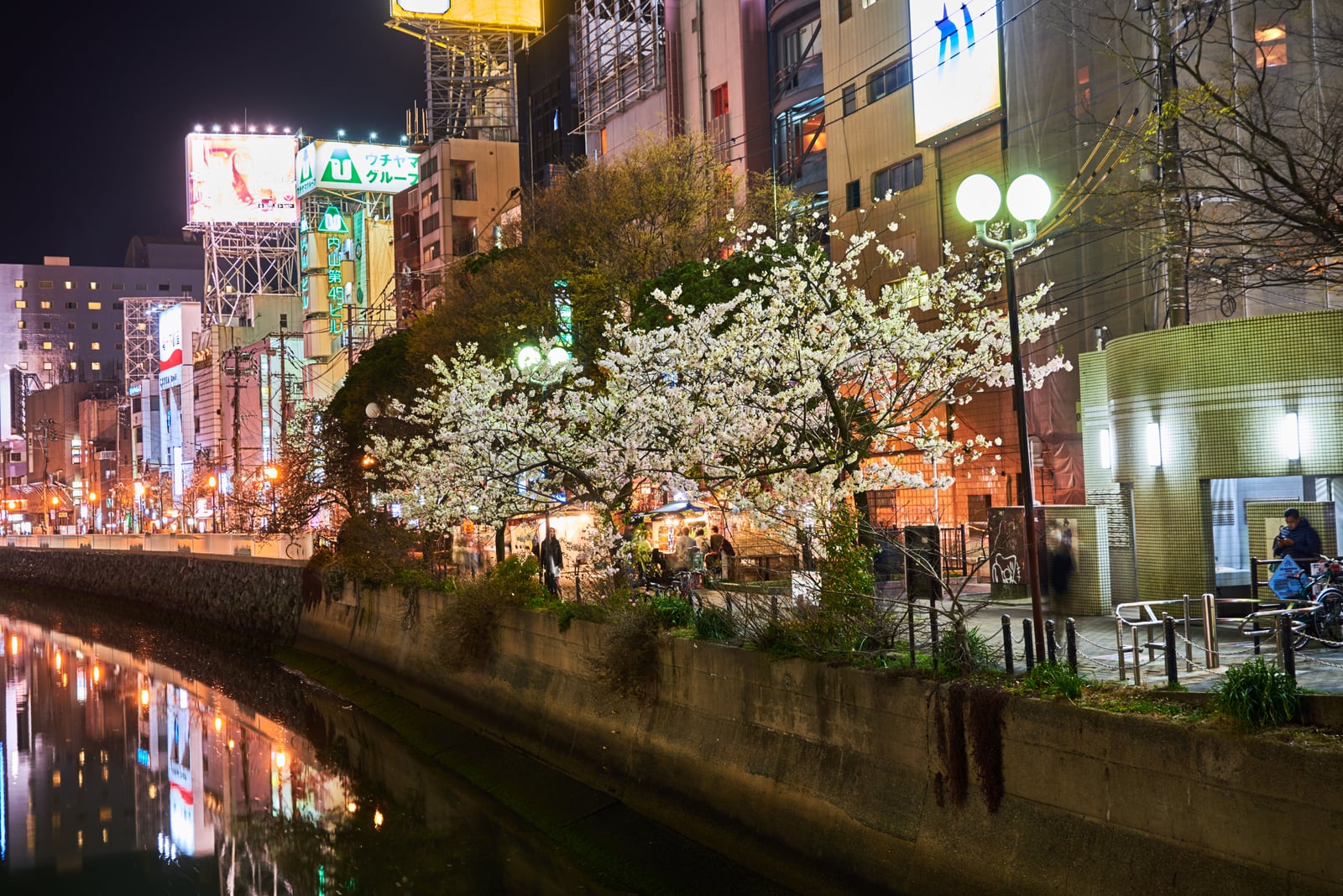 博多舊永樂町夜櫻與河畔燈火｜2018/03 北九州/廣島
