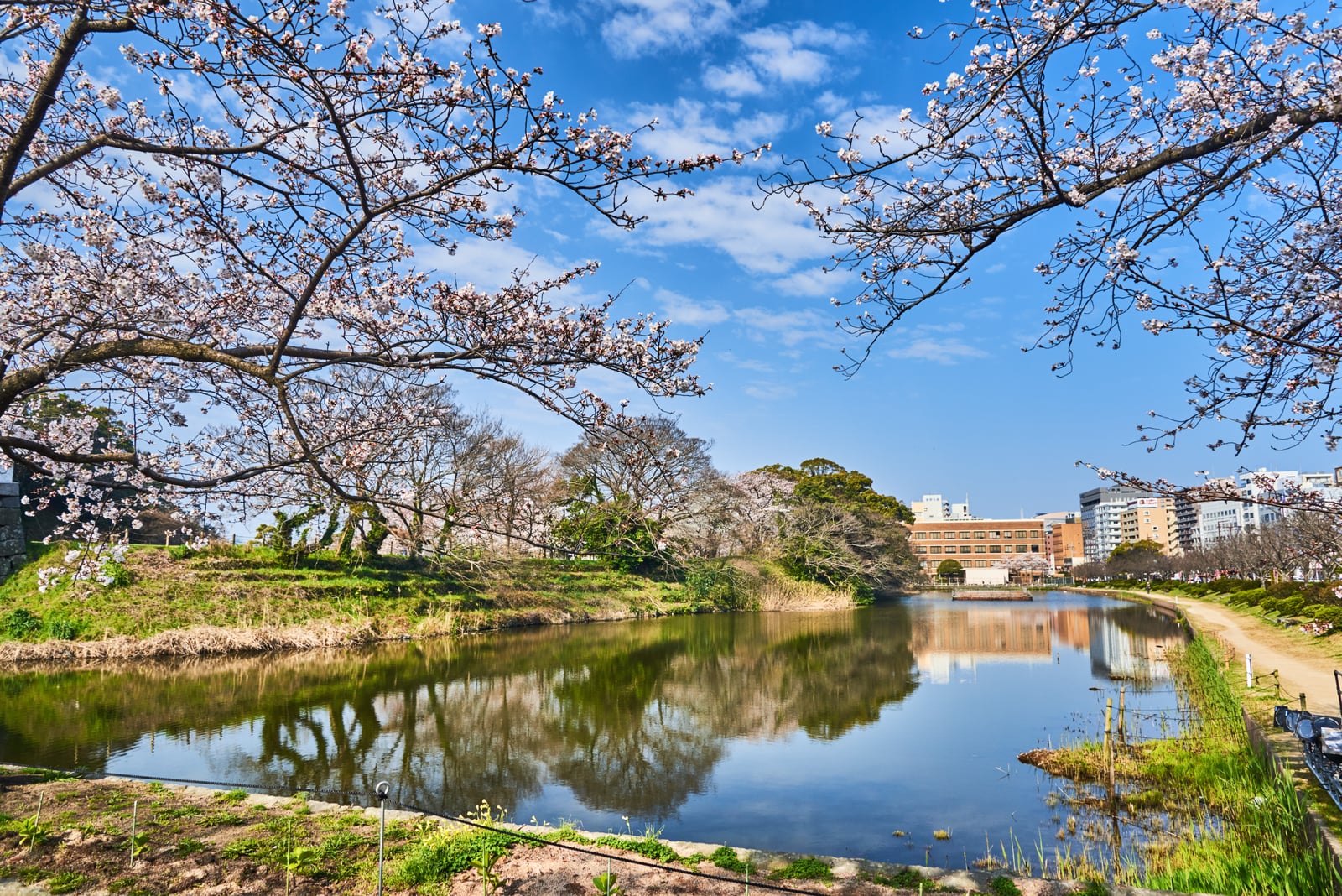舞鶴公園護城河畔的春日櫻花倒影｜2018/03 北九州/廣島