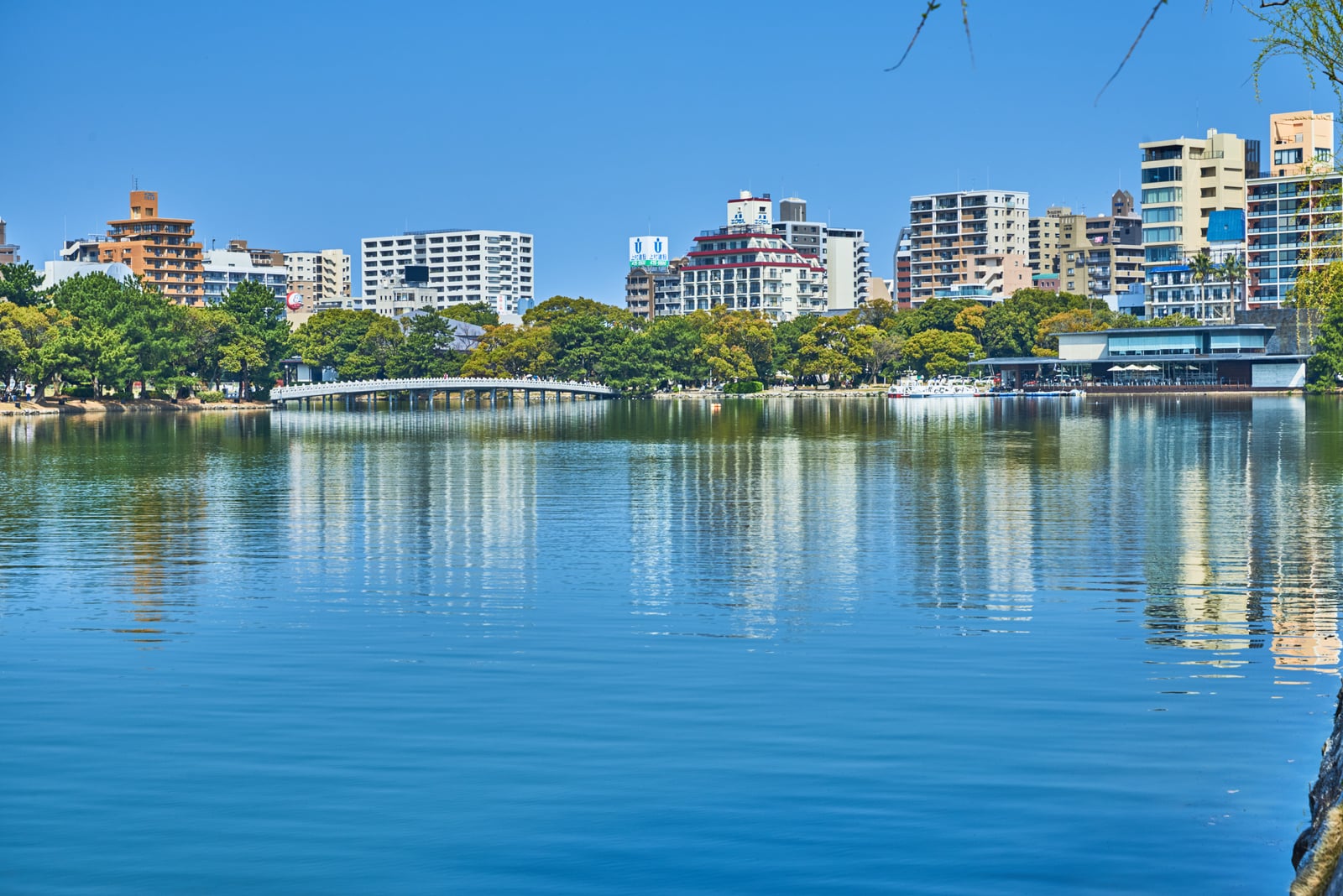 大濠公園湖畔的城市倒影｜2018/03 北九州/廣島
