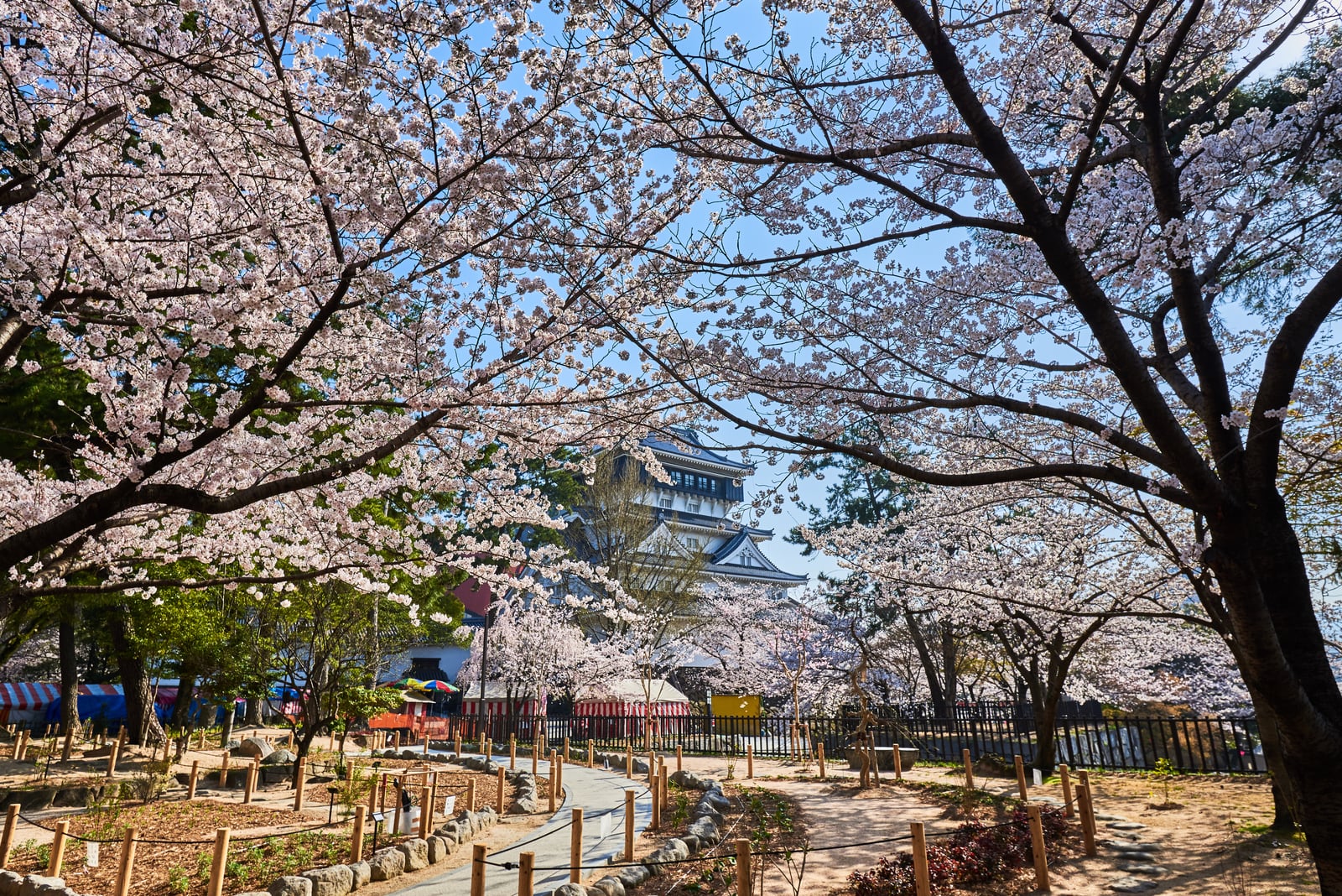櫻花掩映下的小倉城春日景致｜2018/03 北九州/廣島
