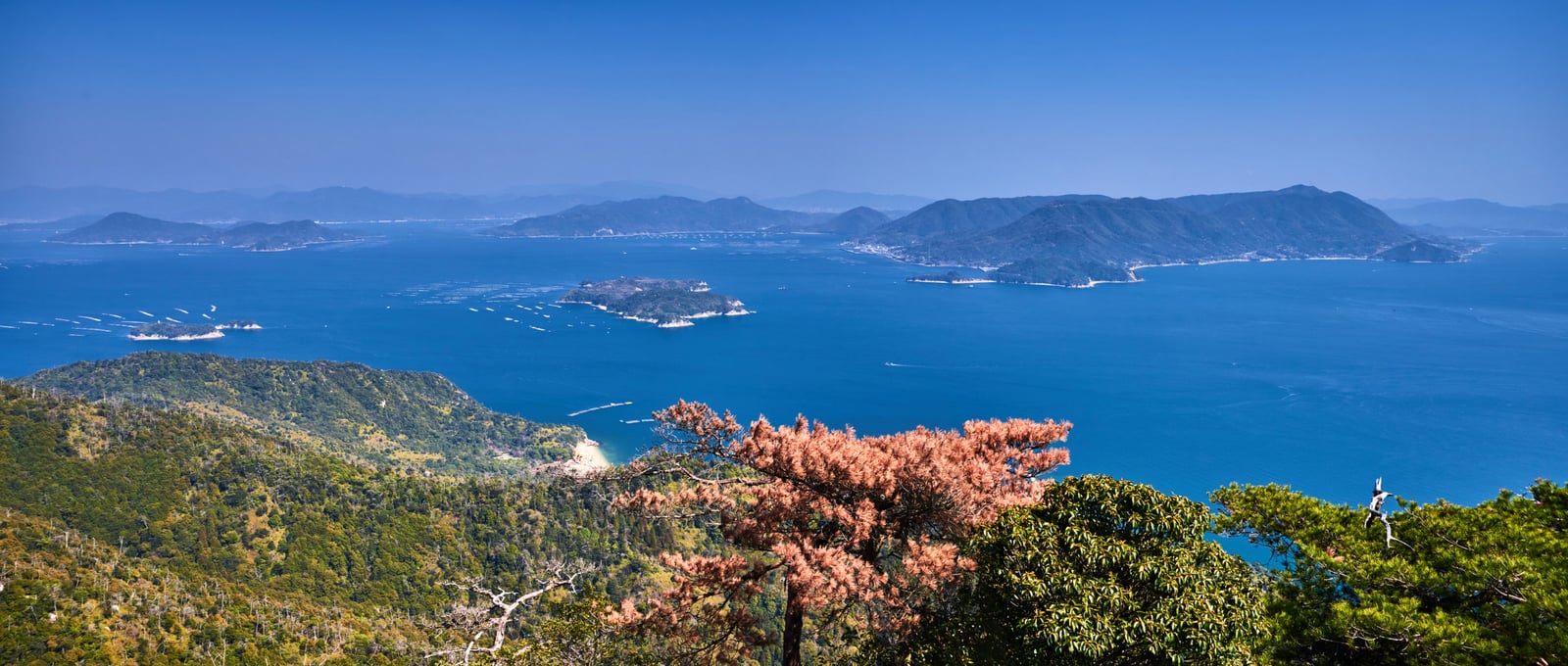 登上弥山山頂，俯瞰瀨戶內海壯麗群島｜2018/03 北九州/廣島