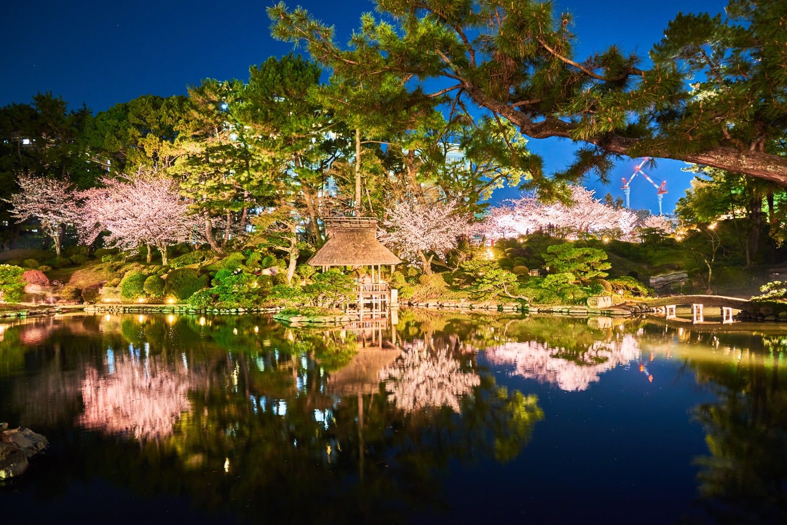 縮景園夜櫻倒影與古樸茶亭｜2018/03 北九州/廣島