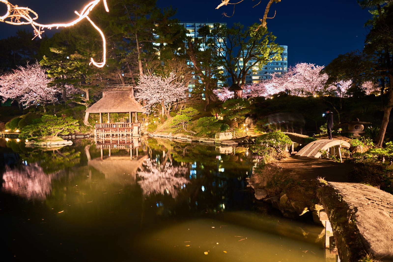 縮景園夜櫻倒影與古樸涼亭｜2018/03 北九州/廣島