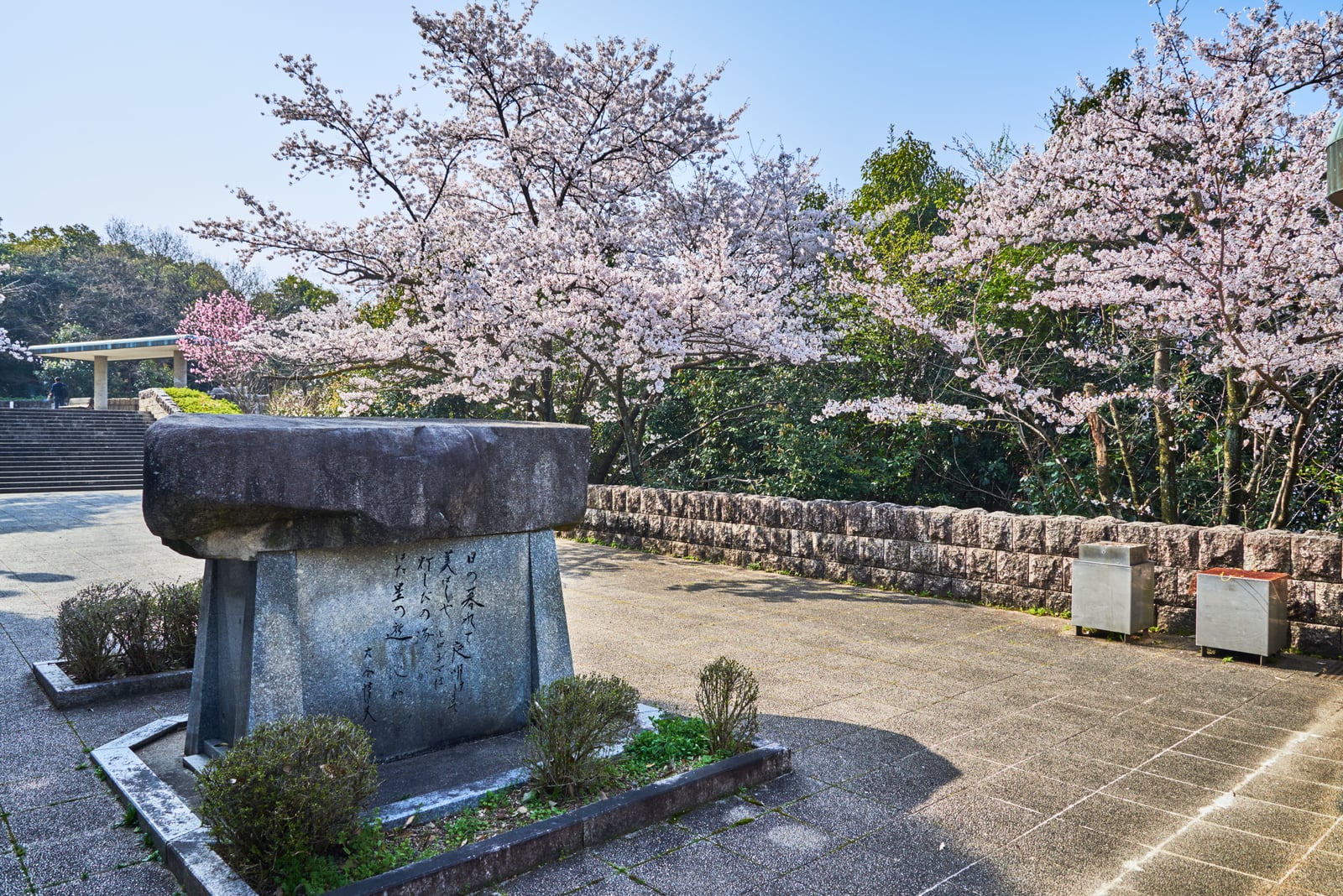春日公園的石碑與盛開櫻花｜2018/03 北九州/廣島