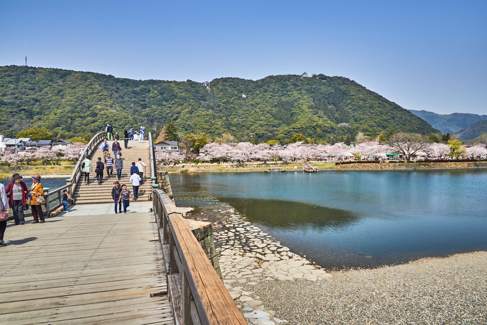 錦帶橋春日漫步與櫻花盛景｜2018/03 北九州/廣島