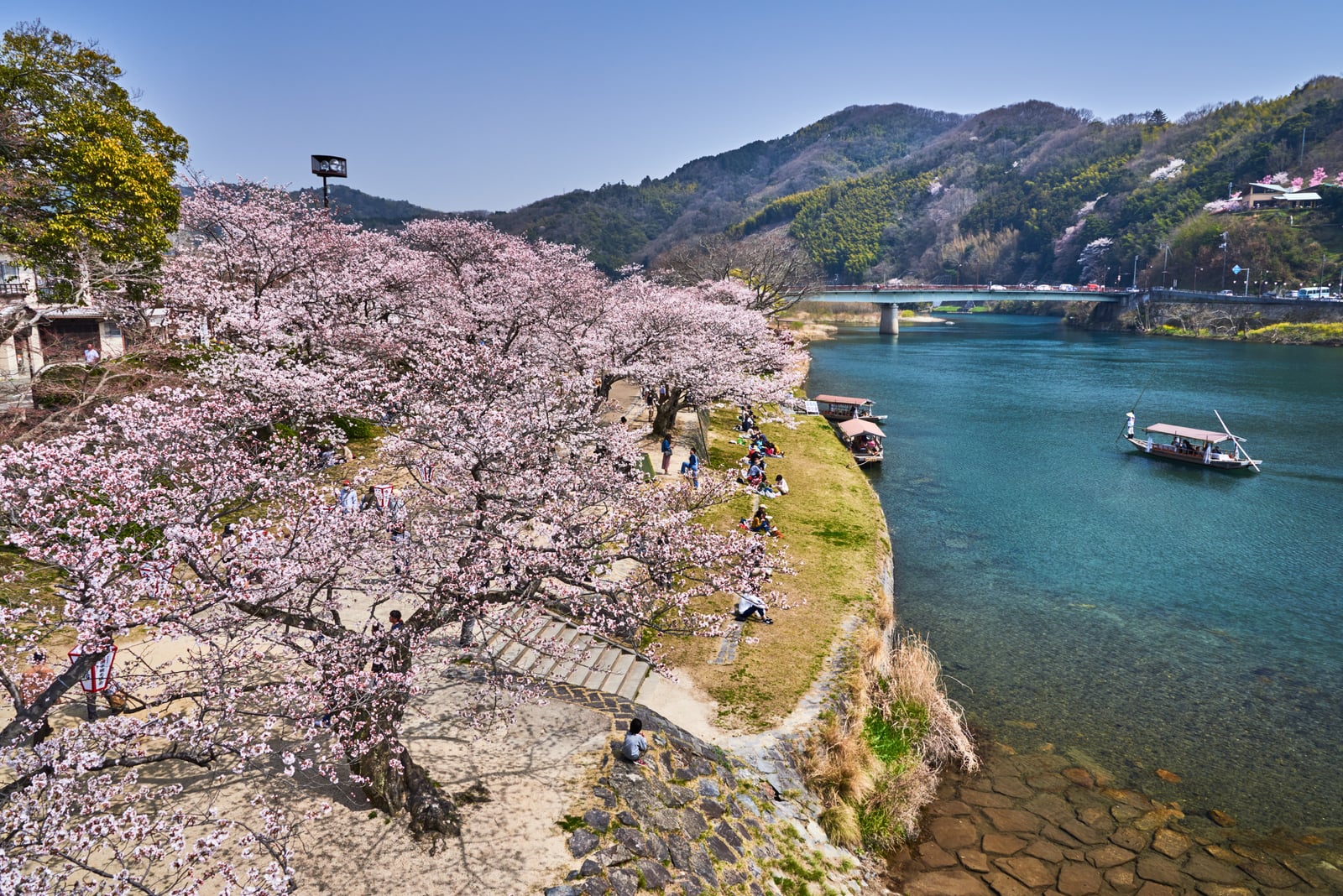 錦帶橋畔盛開的粉嫩櫻花林｜2018/03 北九州/廣島