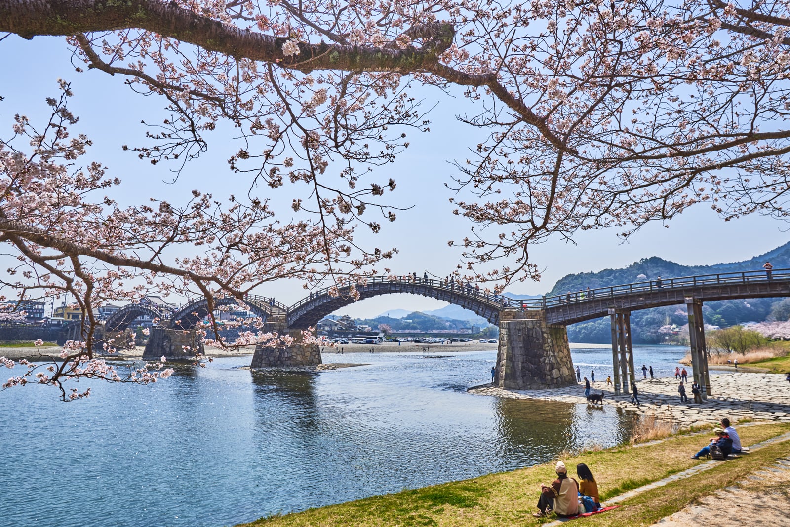 錦帶橋畔的春日櫻花盛景｜2018/03 北九州/廣島