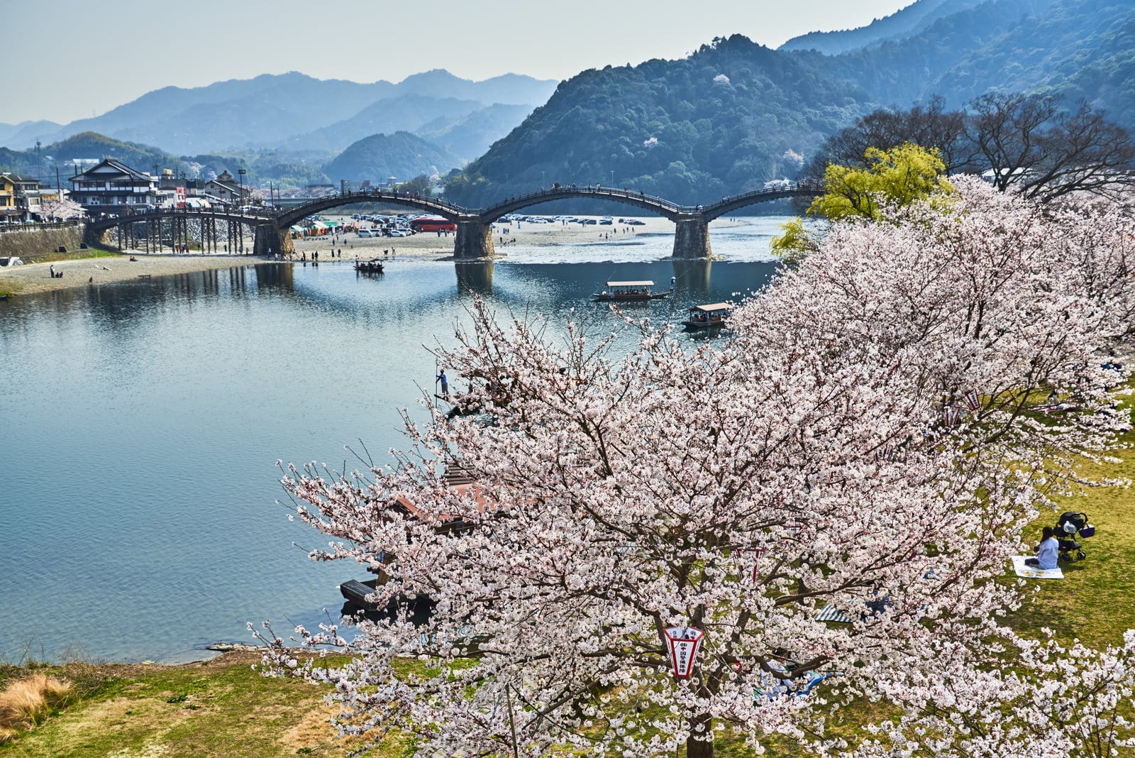 錦帶橋畔的春日櫻花盛景｜2018/03 北九州/廣島