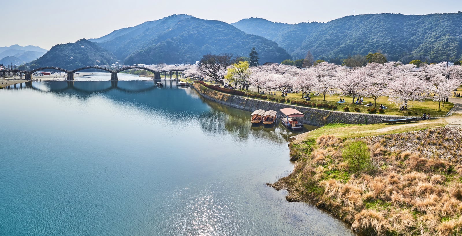 錦帶橋畔的春日櫻花盛景｜2018/03 北九州/廣島