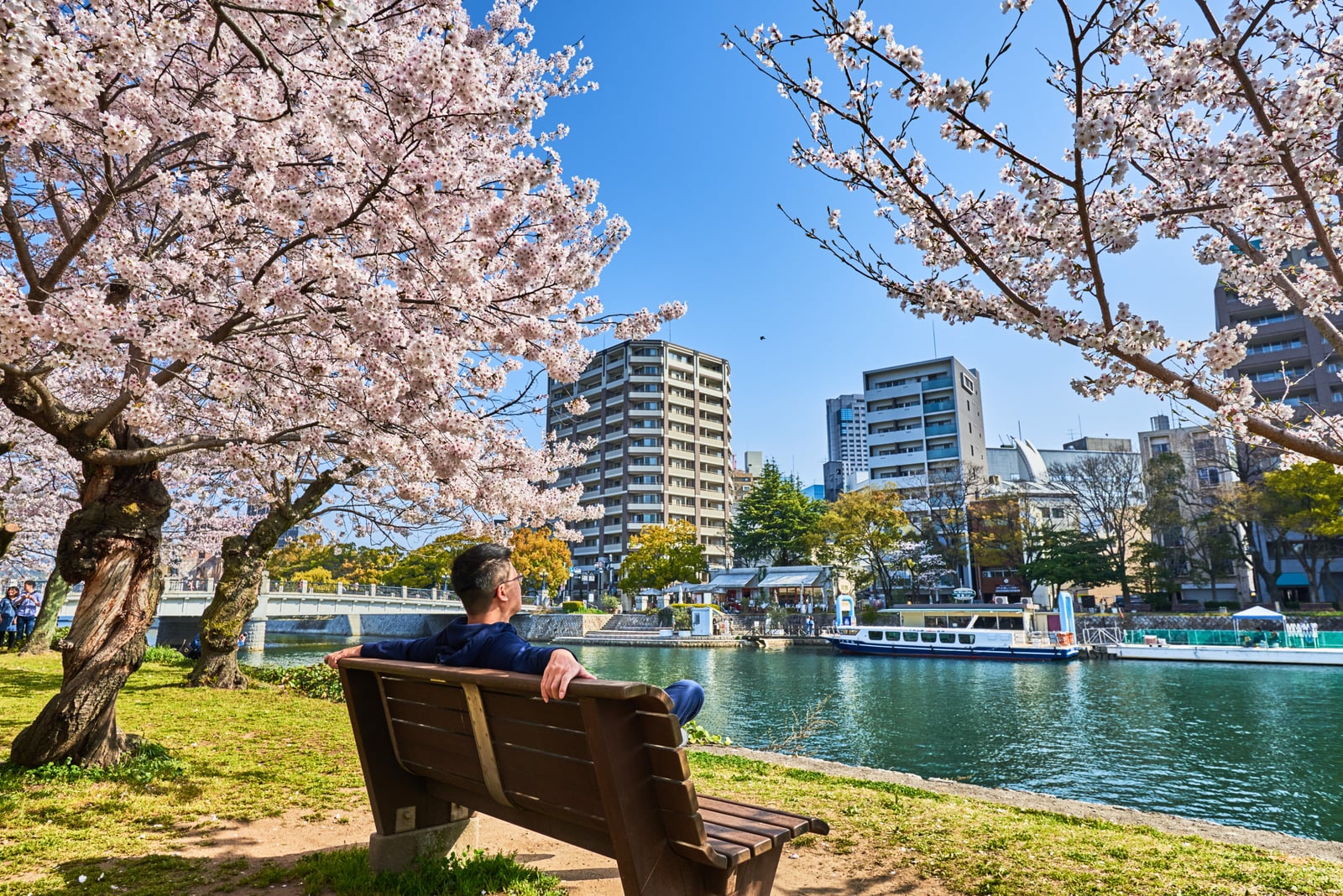 和平紀念公園櫻花樹下的靜謐時光｜2018/03 北九州/廣島