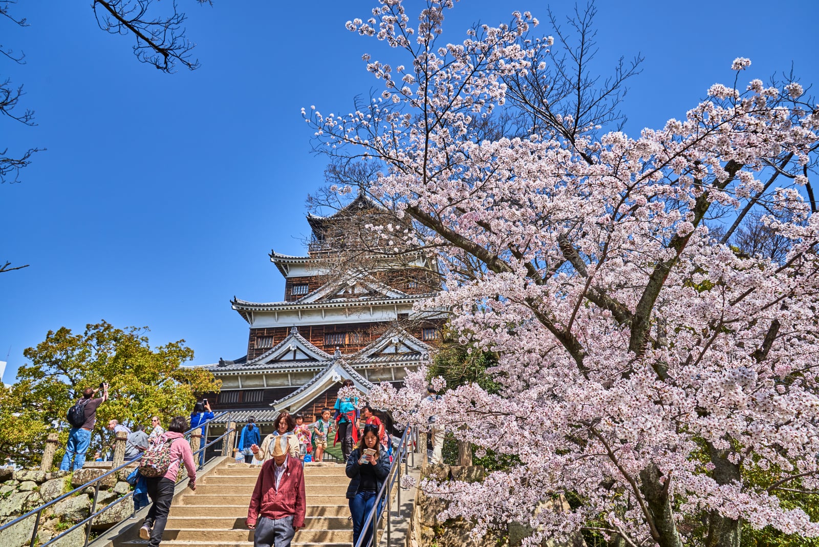 春櫻盛開下的古城風采｜2018/03 北九州/廣島