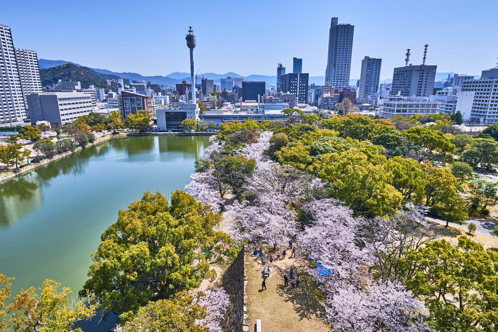 護城河畔的粉嫩櫻花盛開｜2018/03 北九州/廣島