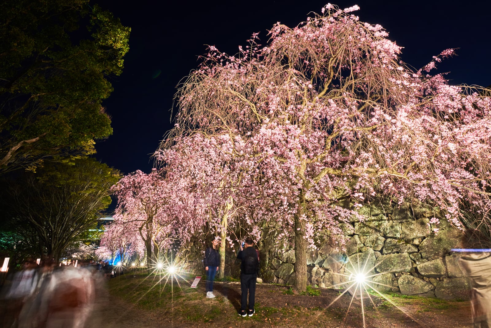 舞鶴公園夜櫻下的古城石垣｜2018/03 北九州/廣島