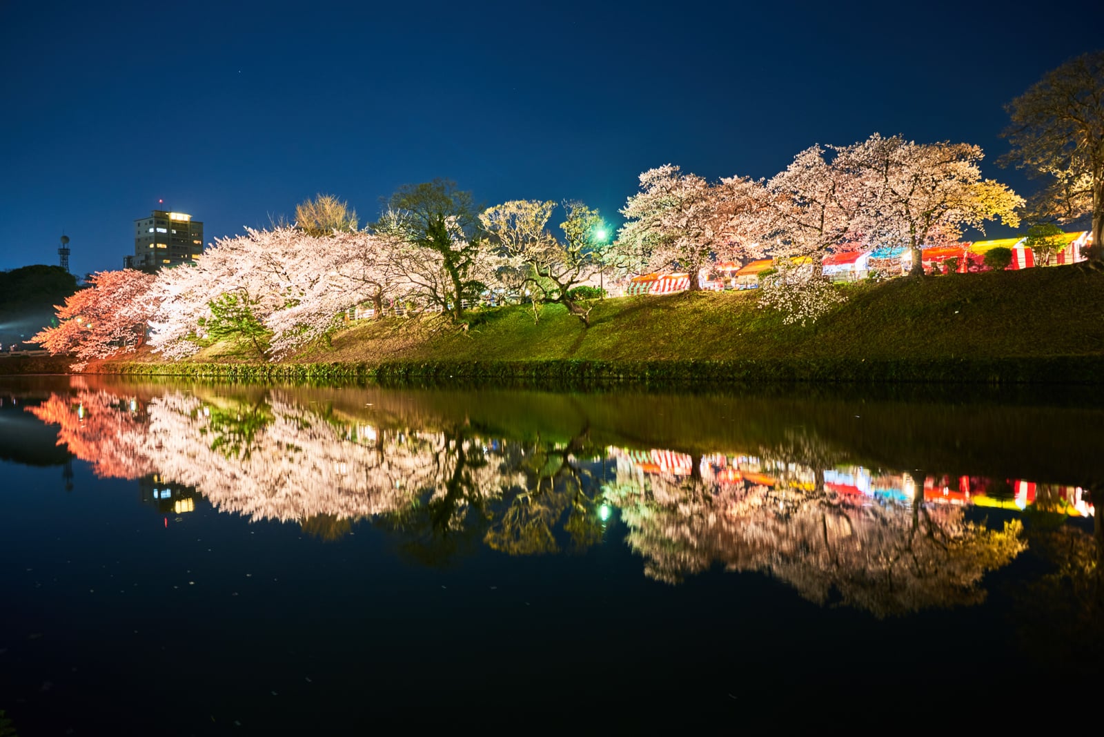 舞鶴公園夜櫻與護城河倒影｜2018/03 北九州/廣島
