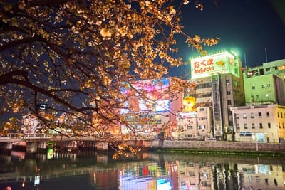 博多舊永樂町的春夜櫻與河岸燈火｜2018/03 北九州/廣島