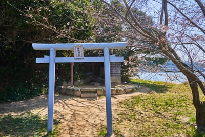 巖流島靜謐的舟島神社與春櫻