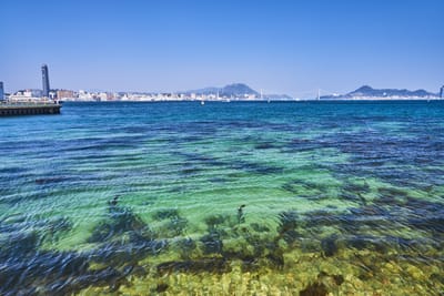 巖流島岸邊眺望關門海峽的蔚藍海景