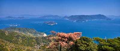 登上弥山山頂，俯瞰瀨戶內海壯麗群島