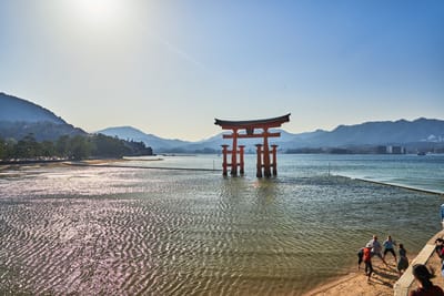 嚴島神社海上大鳥居的粼粼波光