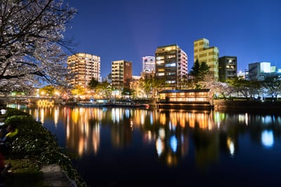 元安川畔的春夜櫻色倒影