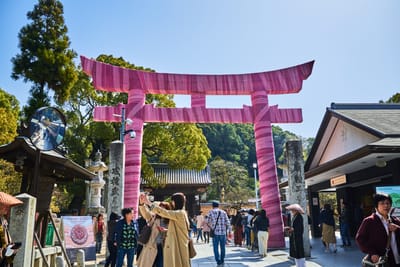 寶滿宮竈門神社的粉色織布鳥居