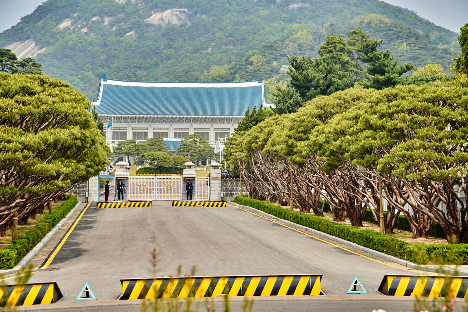 青瓦台主建築與莊嚴的入口大道｜2018/04+2019/04 韓國首爾