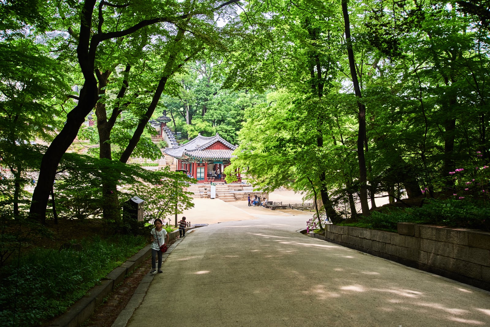 芙蓉池畔的蔥鬱綠意與古韻建築｜2018/04+2019/04 韓國首爾