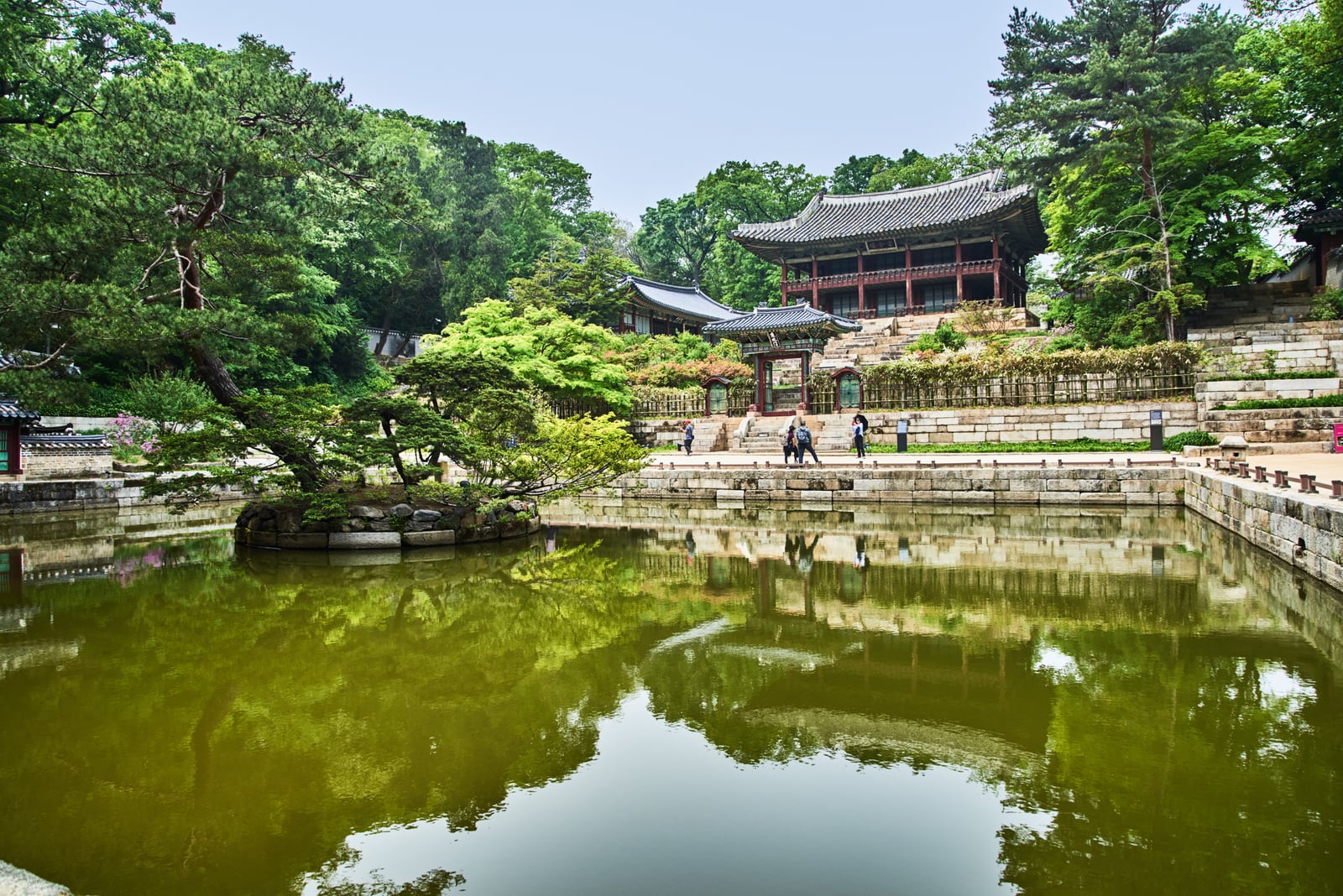 芙蓉池畔的古典宮廷庭園景致｜2018/04+2019/04 韓國首爾