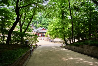 芙蓉池畔的蔥鬱綠意與古韻建築