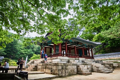 昌德宮內的古韻建築與綠意