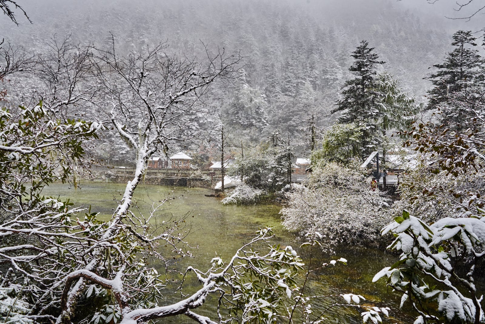 木格措初雪後的靜謐湖畔｜2018/10 川西與稻城亞丁