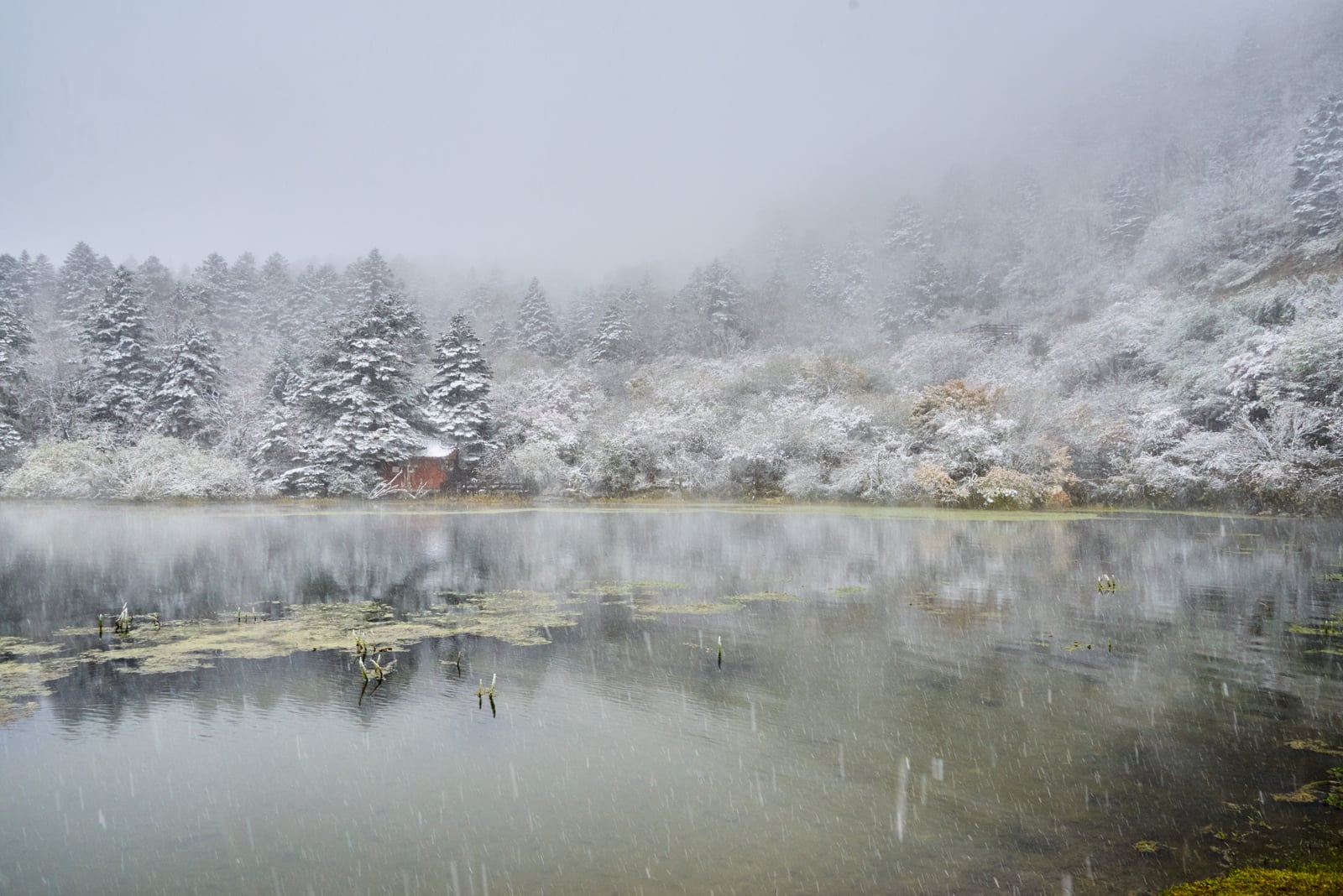 木格措湖畔的初雪靜謐時光｜2018/10 川西與稻城亞丁