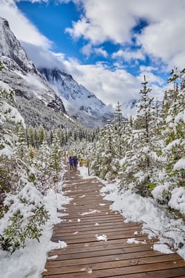 四姑娘山雙橋溝的初雪步道